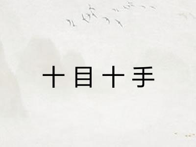 十目十手