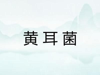 黄耳菌
