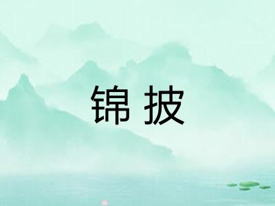锦披