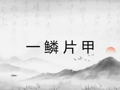 一鳞片甲
