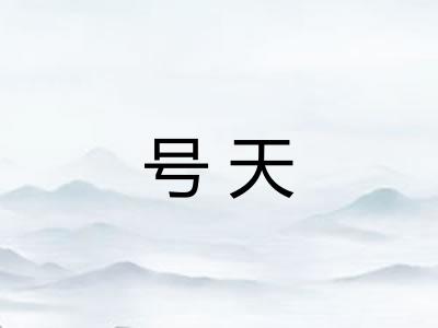 号天