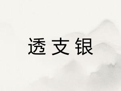 透支银