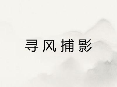 寻风捕影