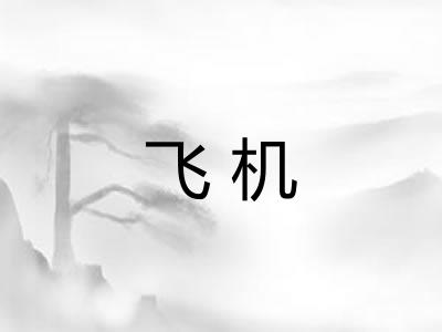 飞机