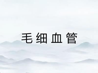 毛细血管