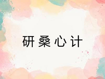 研桑心计