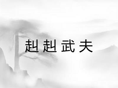 赳赳武夫