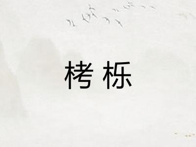 栲栎