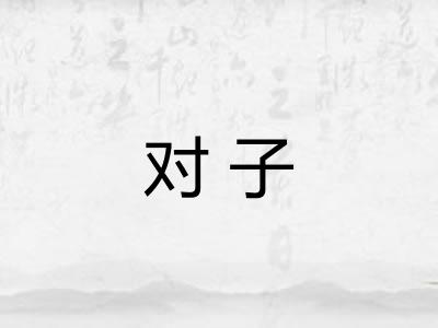 对子
