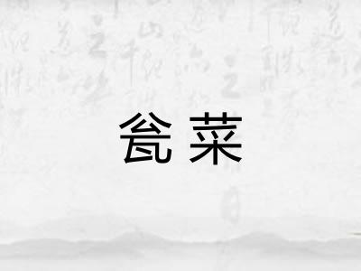 瓮菜