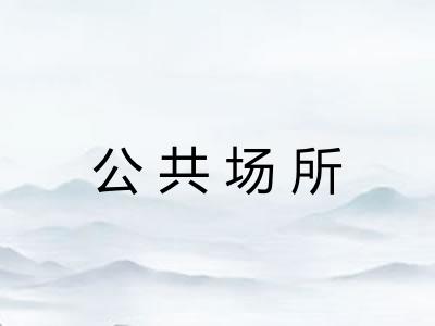 公共场所