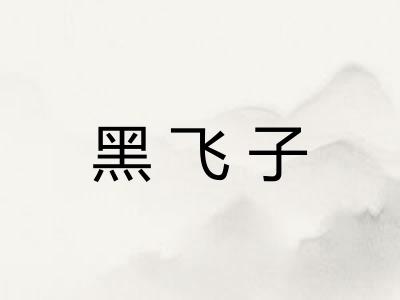 黑飞子