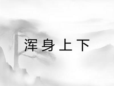 浑身上下