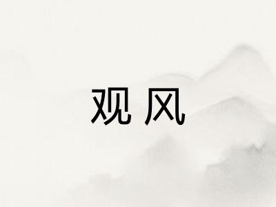 观风