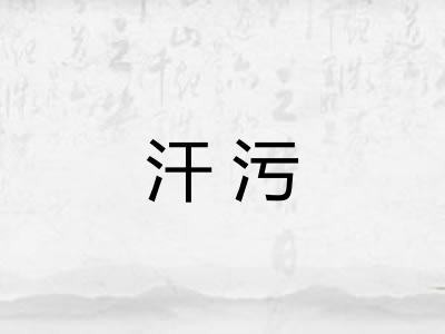 汗污