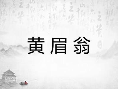 黄眉翁