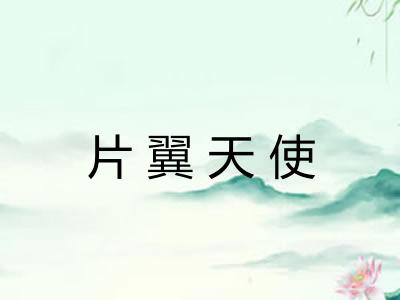 片翼天使
