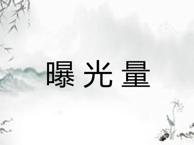 曝光量