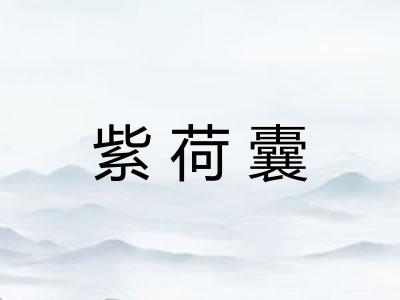 紫荷囊