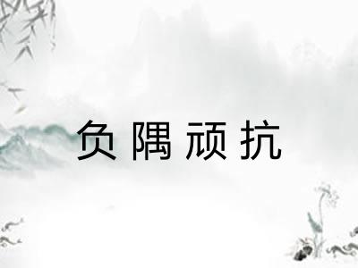 负隅顽抗