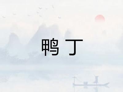 鸭丁