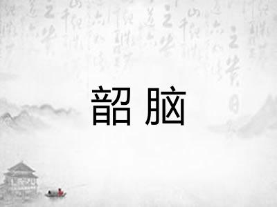 韶脑