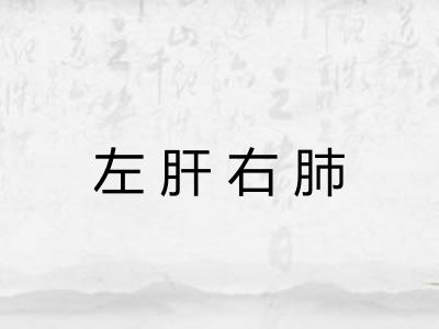 左肝右肺