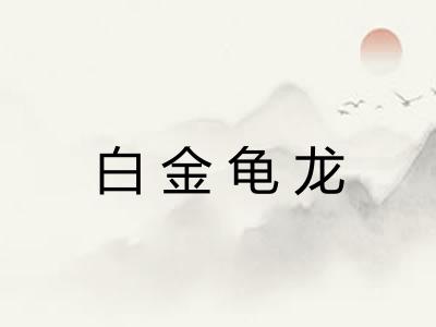 白金龟龙