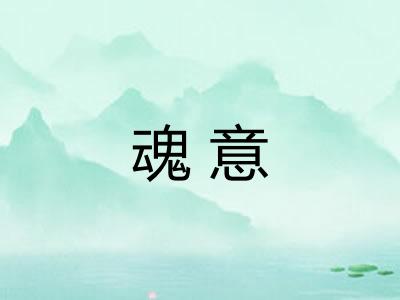 魂意
