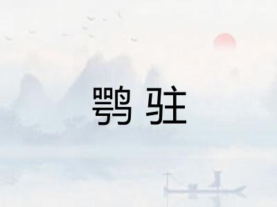 鹗驻