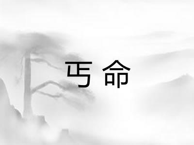 丐命