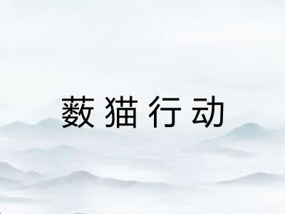 薮猫行动