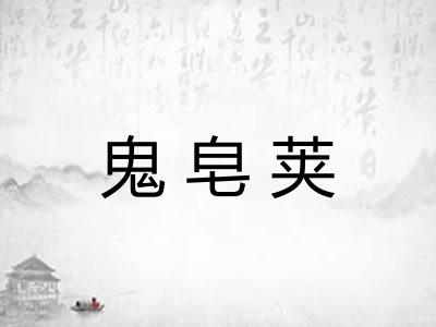 鬼皂荚