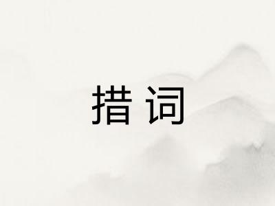 措词