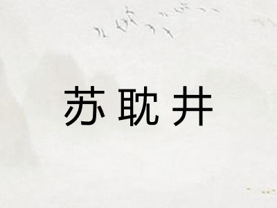 苏耽井