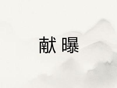 献曝