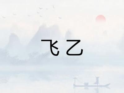 飞乙