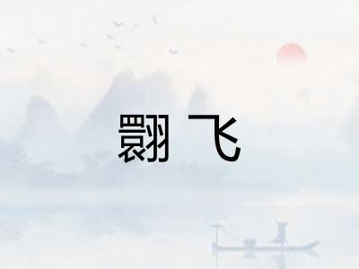 翾飞