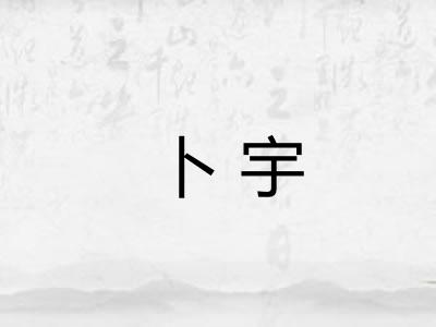 卜宇