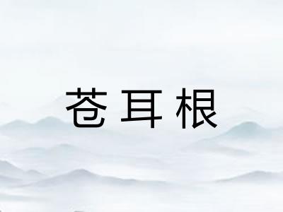 苍耳根