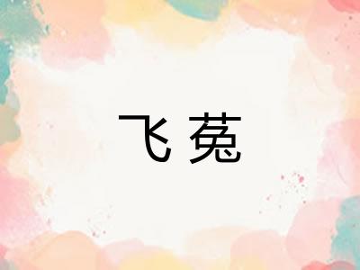 飞菟