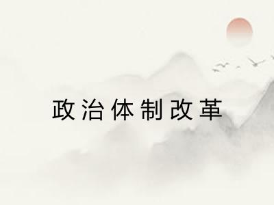政治体制改革