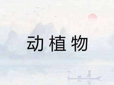 动植物