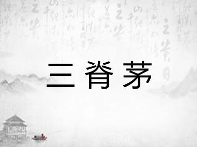 三脊茅
