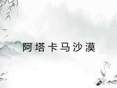 阿塔卡马沙漠