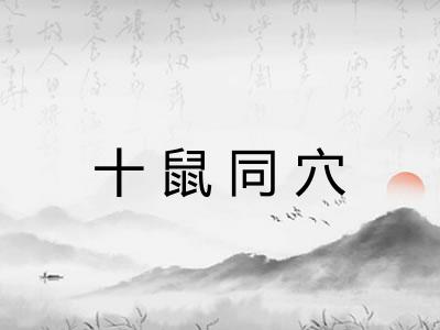 十鼠同穴
