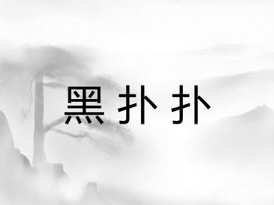 黑扑扑