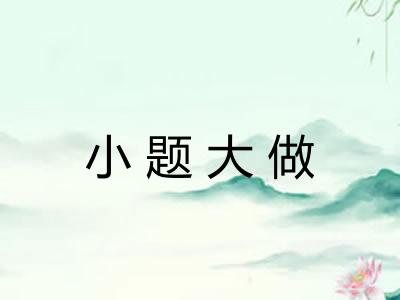 小题大做