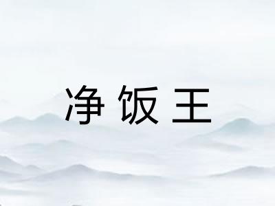 净饭王