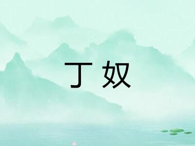 丁奴